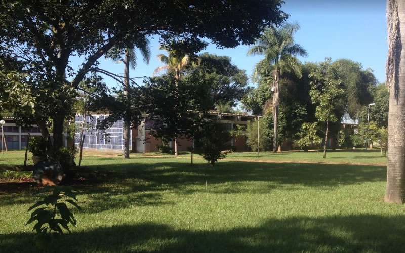 Praesent egestas neque