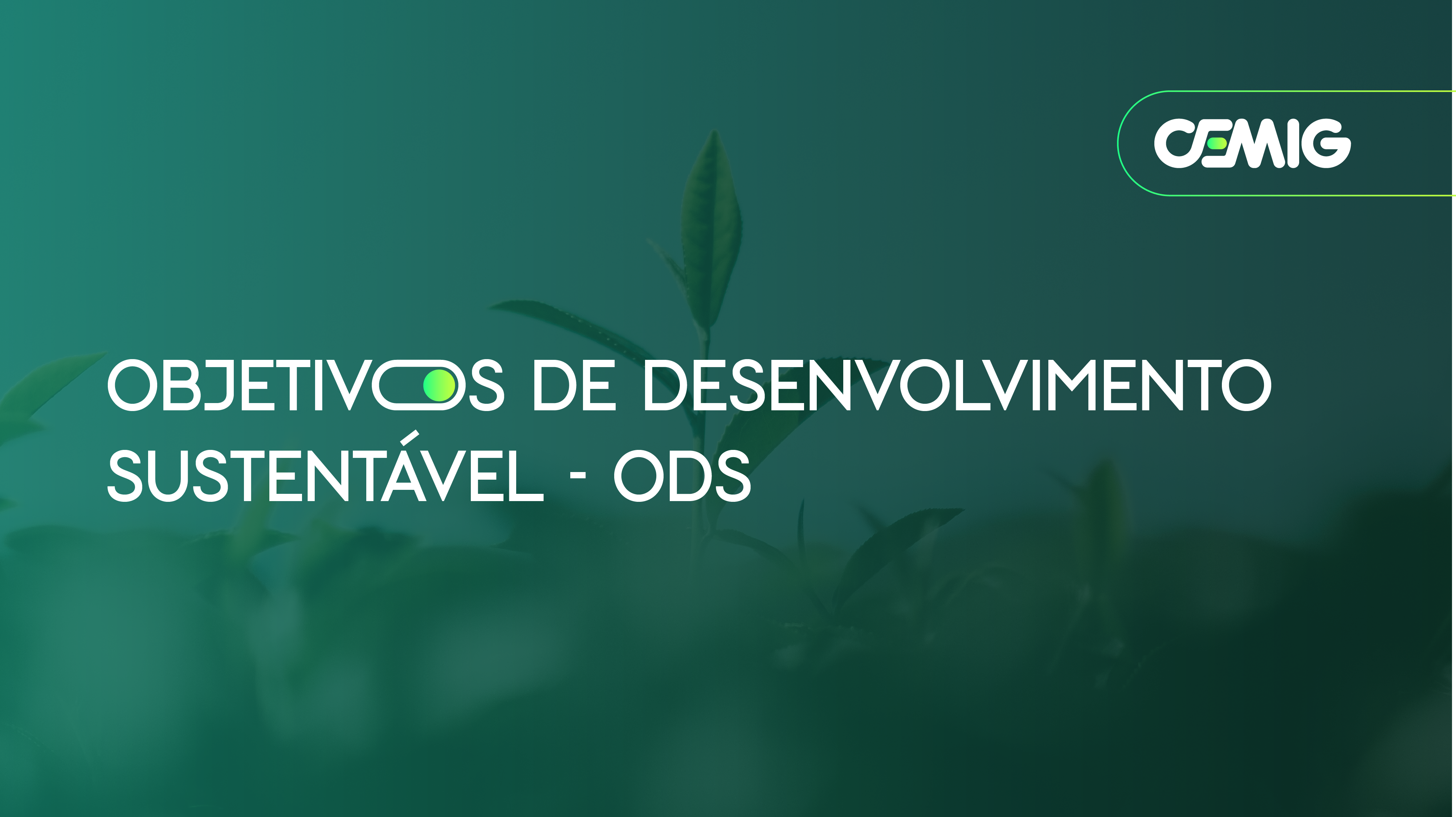 OBJETIVOS DE DESENVOLVIMENTO SUSTENTÁVEL - ODS