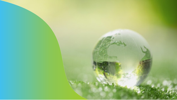 Gestão dos residuos sólidos - Coleta, separação e destinação - Grupo I